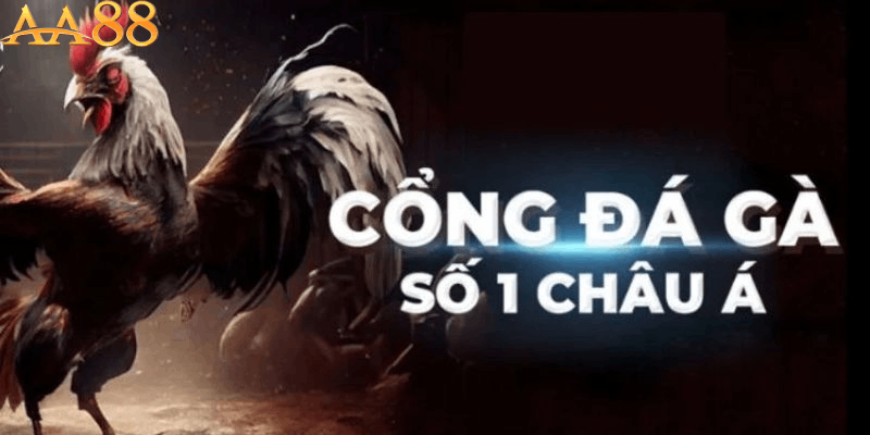 Vai trò của cách chọn tướng gà đá tốt